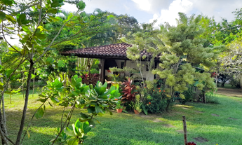 Imagem 5: Sitio, Venda, Barra de Pojuca, 5.700 M², Oportunidade