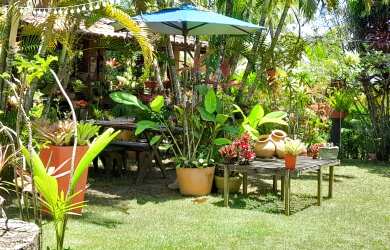 Imagem 3: Sitio, Venda, Barra de Pojuca, 5.700 M², Oportunidade