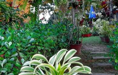 Imagem 6: Sitio, Venda, Barra de Pojuca, 5.700 M², Oportunidade