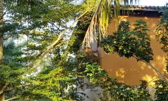 Imagem 7: Sitio, Venda, Barra de Pojuca, 5.700 M², Oportunidade