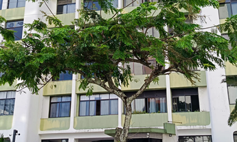 Imagem: 3/4 NO APIPEMA SENDO UM SUÍTE,02 GARAGENS