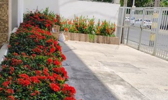 Imagem 2: Alugo apartamento 1/4 na Pituba