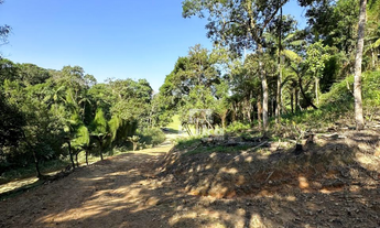 Imagem 3: TERRENO À VENDA