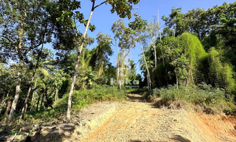 Imagem 4: TERRENO À VENDA