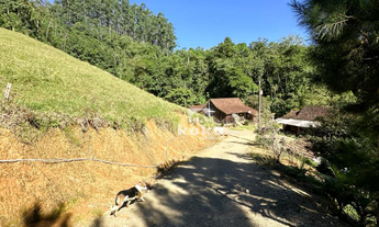 Imagem 6: CHÁCARA SEM CASA