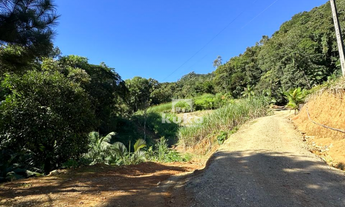 Imagem 7: CHÁCARA SEM CASA