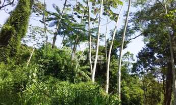 Imagem 5: Chácara/Sitio, 1 dormitório, 1 banheiros, 30000M² de Área Total