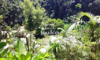 Imagem 6: Chácara/Sitio, 1 dormitório, 1 banheiros, 30000M² de Área Total