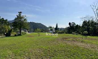 Imagem 3: TERRENO COM CASA