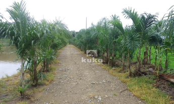 Imagem 5: CHÁCARA COM CASA