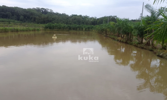 Imagem 6: CHÁCARA COM CASA