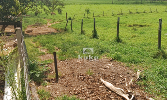 Imagem 6: CHÁCARA COM CASA