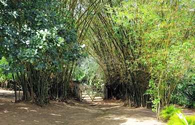 Imagem 6: Sitio para locação com área total de 8.300m², 3 quartos mobiliado em Lauro de Freitas