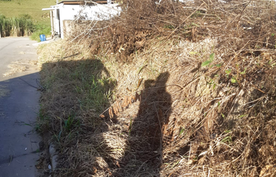 Imagem 6: Carlos Henrique dos santos