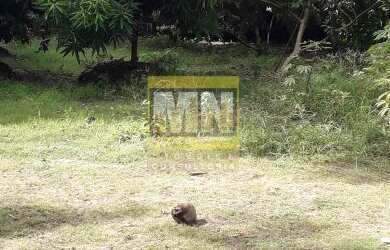 Imagem 6: Sitio Abrantes, 6 dormitórios na Avenida Tiradentes