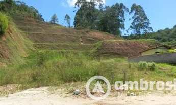 Imagem 2: Terreno ideal para galpão - Estrada geral da Limeira - Fácil acesso