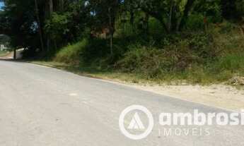 Imagem 4: Terreno ideal para galpão - Estrada geral da Limeira - Fácil acesso