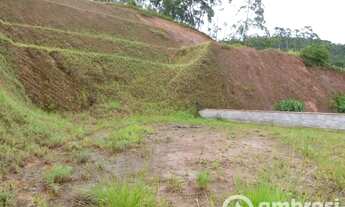 Imagem 6: Terreno ideal para galpão - Estrada geral da Limeira - Fácil acesso