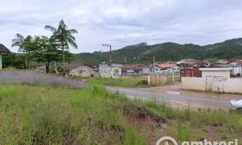 Imagem 5: Terreno ideal para galpão - Estrada geral da Limeira - Fácil acesso