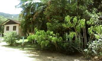 Imagem 3: Sítio no Braço de Camboriu