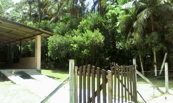 Imagem 4: Sítio no Braço de Camboriu