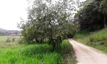 Imagem 2: Terreno para sitio