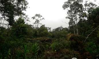 Imagem 3: Terreno para sitio