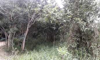 Imagem 4: Terreno para sitio