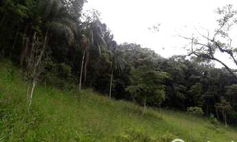 Imagem 5: Terreno para sitio