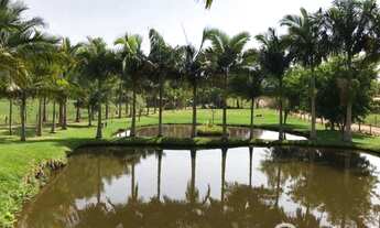 Imagem: Lindo Sitio em Camboriú 100 Plano - Aceita