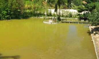 Imagem 4: Chácara com ampla casa em Guabiruba!