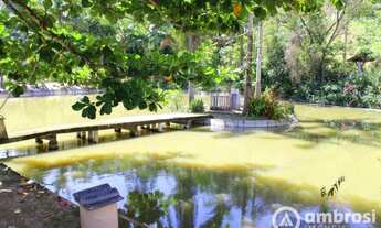 Imagem 5: Chácara com ampla casa em Guabiruba!