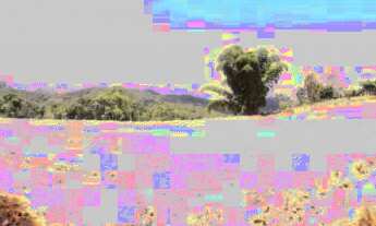 Imagem 6: Ideal para sítio