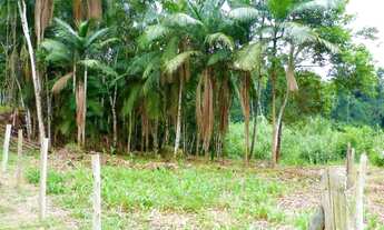 Imagem: Amplo terreno pra chácara no Centro de