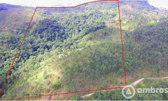 Imagem: Terrenos para Sítio em Botuverá!