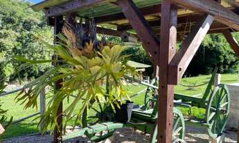 Imagem 7: Venha Morar Em um Lugar Paradisíaco