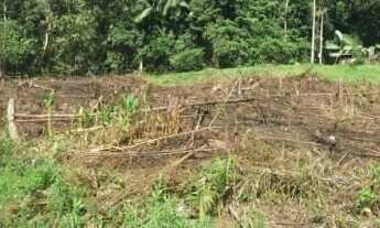 Imagem: Ótimo Terreno para Sítio em Guabiruba