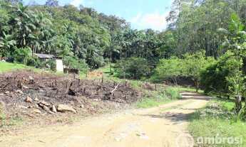 Imagem 2: Ótimo Terreno para Sítio em Guabiruba- Negocia com Imóvel no Litoral