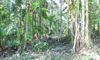 Imagem 3: Ótimo Terreno para Sítio em Guabiruba- Negocia com Imóvel no Litoral