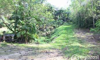 Imagem 4: Ótimo Terreno para Sítio em Guabiruba- Negocia com Imóvel no Litoral