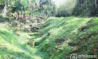 Imagem 5: Ótimo Terreno para Sítio em Guabiruba- Negocia com Imóvel no Litoral