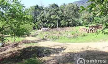 Imagem 6: Ótimo Terreno para Sítio em Guabiruba- Negocia com Imóvel no Litoral