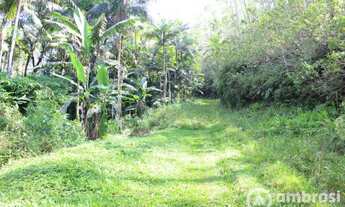 Imagem 7: Ótimo Terreno para Sítio em Guabiruba- Negocia com Imóvel no Litoral