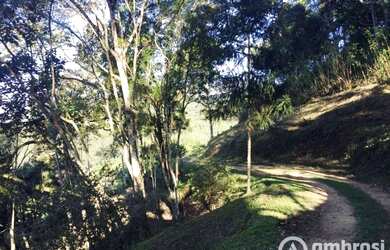 Imagem 4: Terreno para sítio