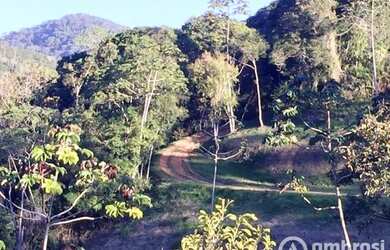 Imagem 6: Terreno para sítio