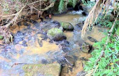 Imagem 5: Linda Chácara em Brusque - Estuda Propostas em Geral!