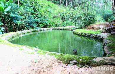 Imagem 4: Linda Chácara em Brusque - Estuda Propostas em Geral!
