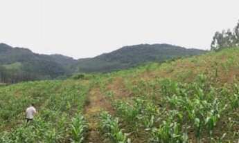 Imagem 7: Lindo Sítio em Vidal Ramos! Escriturado!