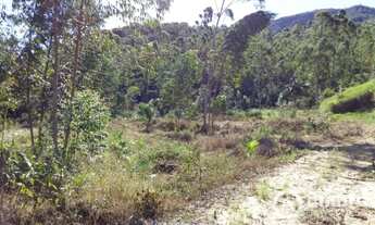 Imagem 7: Amplo terreno para sítio