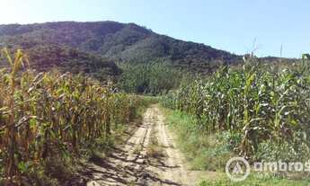 Imagem 3: Amplo terreno para sítio